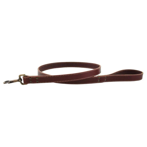 Full Grain Leather Dog Leash 6 Ft – Stitched Bridle Leather with Brass Hardware | Made in USA by Auburn Leathercrafters Auburn Leathercrafters  item