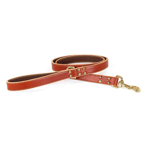 Full Grain Leather Dog Leash 6 Ft – Stitched Bridle Leather with Brass Hardware | Made in USA by Auburn Leathercrafters Auburn Leathercrafters  item