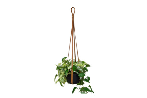 Full-Grain Leather Plant Hanger – Handcrafted Indoor Hanging Planter | Made in USA Urban Southern 