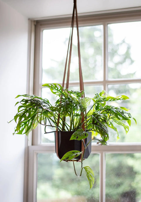 Full-Grain Leather Plant Hanger – Handcrafted Indoor Hanging Planter | Made in USA Urban Southern 