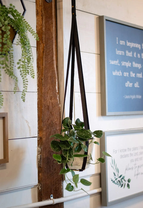 Full-Grain Leather Plant Hanger – Handcrafted Indoor Hanging Planter | Made in USA Urban Southern 