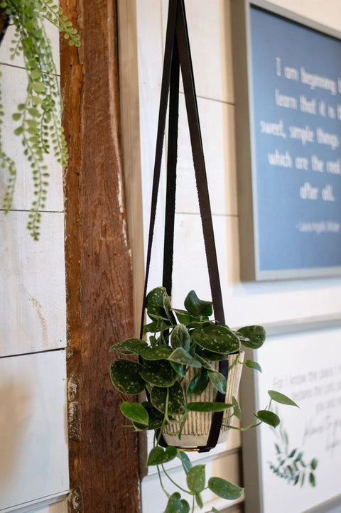 Full-Grain Leather Plant Hanger – Handcrafted Indoor Hanging Planter | Made in USA Urban Southern 