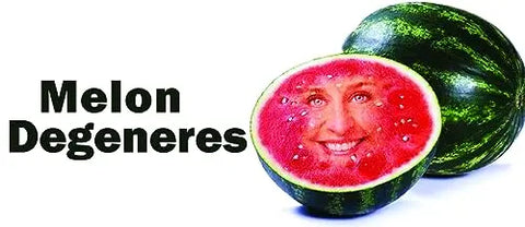 Funny Parent Bumper Sticker – Bestie Please Let Me Merge | Made in USA Chatelet Manufacturing   5.95 Melon Degeneres