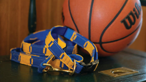 Game Day Dog Collar – Hand-Woven Nylon Backed with Brass Buckle | Durable Pet Collar Made in USA Auburn Leathercrafters  item