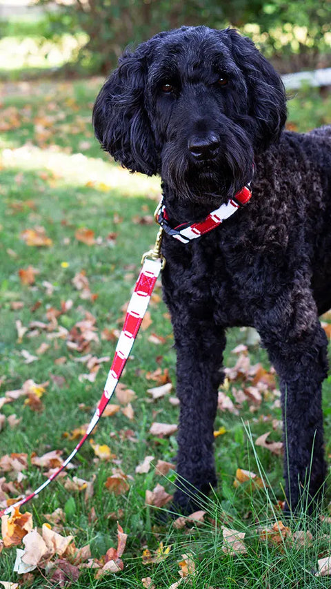 Game Day Handwoven Dog Leash – Durable Nylon Backing with Brass Buckle | Auburn Leathercrafters Made in USA Auburn Leathercrafters  item