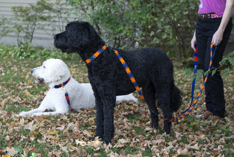 Game Day Handwoven Dog Leash – Durable Nylon Backing with Brass Buckle | Auburn Leathercrafters Made in USA Auburn Leathercrafters  item