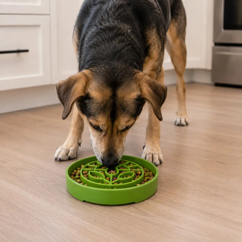 Garden Design Slow Feeder Dog Bowl 8 Inch – Enrichment Tray Made in USA SodaPup  ETRAY