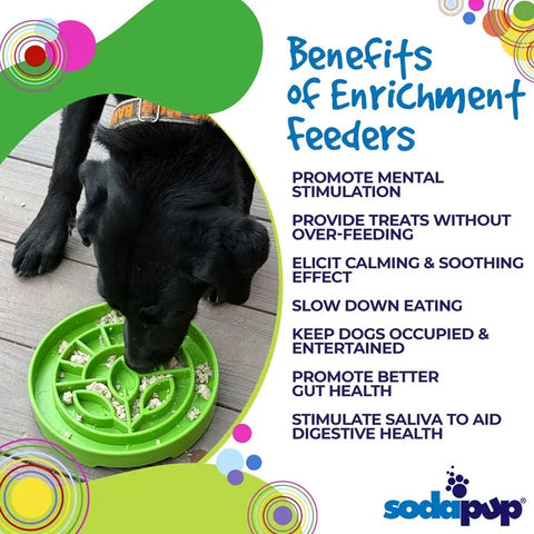 A black dog enjoys the Garden Design ETray Enrichment Shallow Slow Feeder Dog Bowl by SodaPup on a wooden floor. Text highlights benefits like mental stimulation, slower eating, and better gut health. The SodaPup logo appears at the bottom.