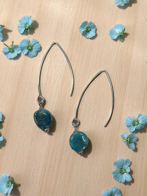 Gemstone Drop Earrings | Long Stainless Steel Hooks | Choose Your Stone Michelle Marie Boutique  Earring