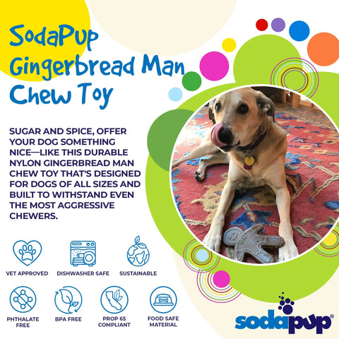 A tan dog with a pink collar lies on a rug, licking its nose, with the SodaPup Gingerbread Man Ultra Durable Nylon Dog Chew Toy in front. Text promotes a safe, sustainable toy for power chewers, highlighted by clear safety and eco-friendly icons.