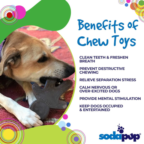 A dog chews on the SodaPup Gingerbread Man Ultra Durable Nylon Dog Chew Toy. Benefits beside the dog include dental health, stress relief, prevention of destructive chewing, mental stimulation, and entertainment.