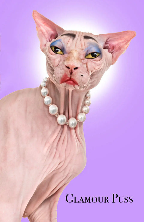 Glamour Puss Cat Art Poster – Quirky Home Wall Decor | Made in USA Skinny Pete's Gourmet Catnip  Art