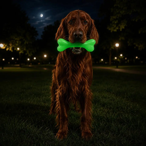 Glow in the Dark Large Dog Chew Bone Toy 6.5 Inch – Durable Floating Fetch Toy | Made in USA SodaPup  Rubber Dog Toys