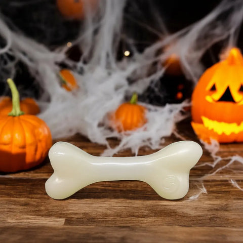 Glow in the Dark Large Dog Chew Bone Toy 6.5 Inch – Durable Floating Fetch Toy | Made in USA SodaPup  Rubber Dog Toys