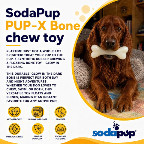 Glow in the Dark Large Dog Chew Bone Toy 6.5 Inch – Durable Floating Fetch Toy | Made in USA SodaPup  Rubber Dog Toys