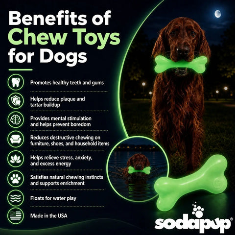 Glow in the Dark Large Dog Chew Bone Toy 6.5 Inch – Durable Floating Fetch Toy | Made in USA SodaPup  Rubber Dog Toys