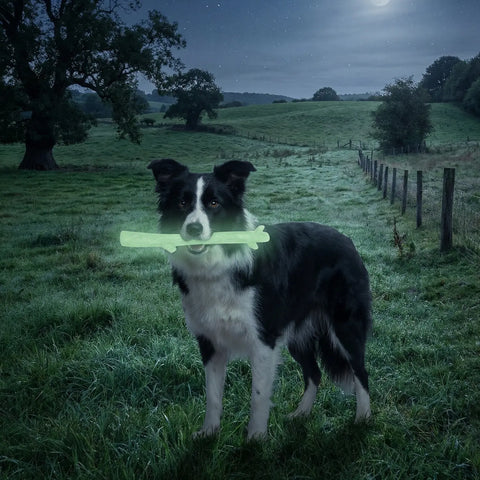 Glow in the Dark Nylon Chew Stick for Power Chewers – Durable Indestructible Dog Toy | Made in USA SodaPup  Nylon Dog Toys
