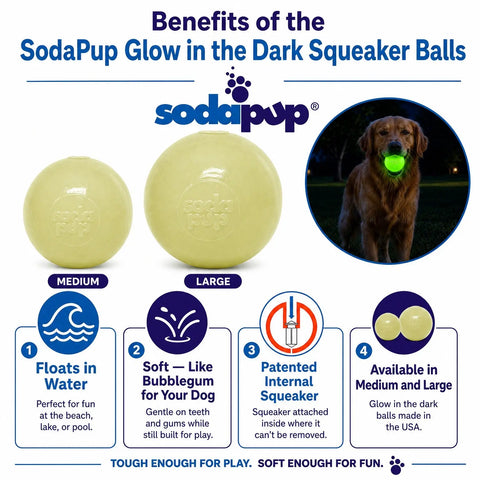 Glow in the Dark Squeaky Dog Ball Toy – Durable Chew & Fetch Toy for Power Chewers 2.8–3 Inch | Made in USA SodaPup  Rubber Dog Toys