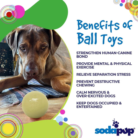 Glow in the Dark Squeaky Dog Ball Toy – Durable Chew & Fetch Toy for Power Chewers 2.8–3 Inch | Made in USA SodaPup  Rubber Dog Toys