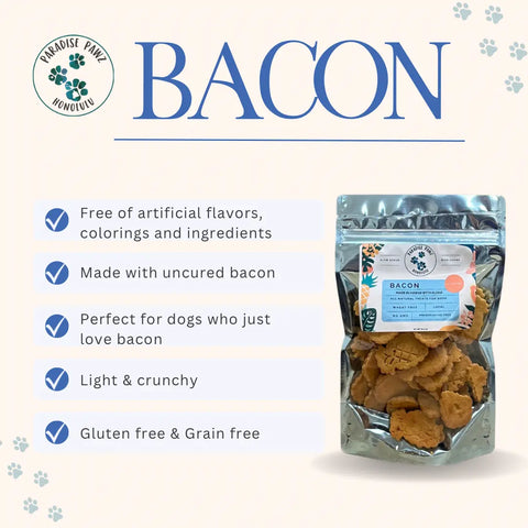 A package of Dogtown Bakery Bacon Treats sits beside five features: no artificial flavors, made with uncured smoked bacon, perfect for bacon lovers, light and crunchy texture, gluten-free and grain-free.