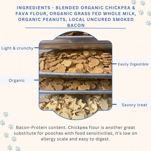 Three trays display Dogtown Bakery Bacon Treats—grain-free, organic dog snacks made with uncured smoked bacon and chickpea flour. These light, crunchy treats are easily digestible and savory.