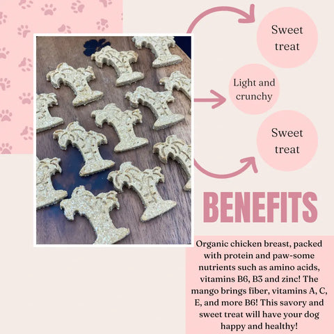 Dogtown Bakery’s Chicken & Mango dog treats, shaped like palm trees and arranged on a wooden surface, are gluten-free biscuits that offer a sweet, crunchy snack packed with vitamins and protein from chicken and mango.
