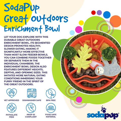 A vibrant flyer for SodaPups Great Outdoors Design EBowl Enrichment Slow Feeder Bowl for Dogs, with blue text highlighting benefits, colorful graphics, and icons showing its pet safe and dishwasher-safe. Ideal for dog enrichment!.