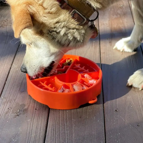 A dog enjoys a meal from the SodaPup Great Outdoors Design EBowl Enrichment Slow Feeder Bowl for Dogs on a sunny wooden deck—a perfect outdoor enrichment moment.