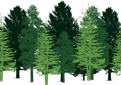 Green Forest Trees Wall Decal – Large Kids Room Decor | Made in USA Chatelet Manufacturing 