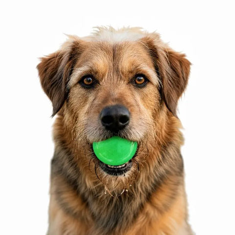 Green Glitter Dog Fetch Balls 2-Pack – 2.5 Inch Soft PUP-X Rubber Treat Dispensing Toy | Made in USA SodaPup  Rubber Dog Toys