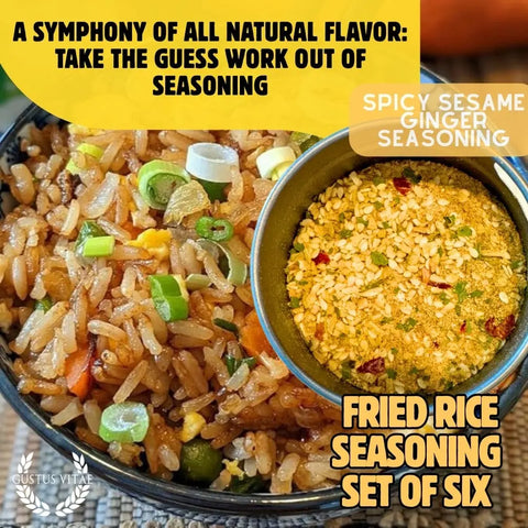 Gustus Vitae Fried Rice Seasoning 6-Pack – Artisan Gourmet Spice Set | Made in USA Gustus Vitae  Collections & Gift Sets