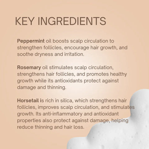 Hair Loss Shampoo & Conditioner Sample Set Taylor Made Organics  hair care