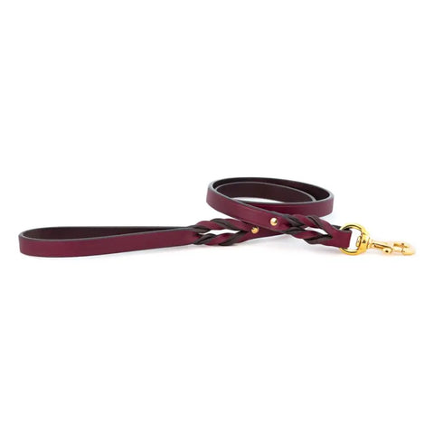 Handcrafted Braided Bridle Leather Dog Leash – Durable Comfort – Auburn Leathercrafters | Made in USA Auburn Leathercrafters  item