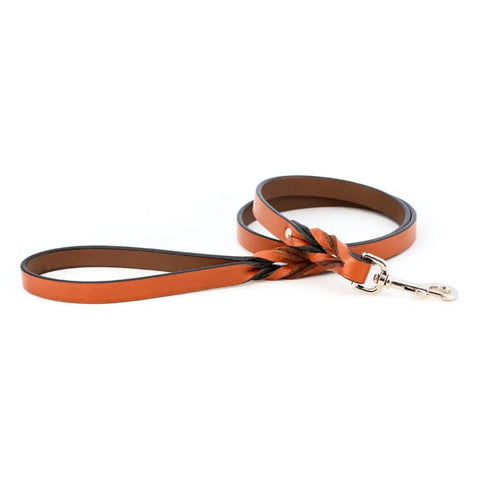 Handcrafted Braided Bridle Leather Dog Leash – Durable Comfort – Auburn Leathercrafters | Made in USA Auburn Leathercrafters  item