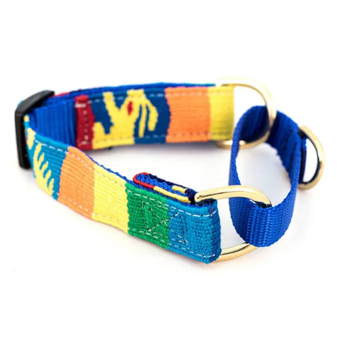 Handcrafted Fiesta Martingale Dog Collar – Adjustable 11-30 Inch – Durable Nylon & Brass Hardware | Made in USA Auburn Leathercrafters  item