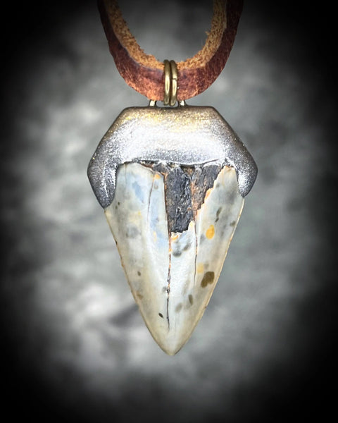 Handcrafted Fossil Shark Tooth Necklace 1.5 Inch Pendant on Brown Leather Cord – Made in USA | Custom Crystal Jewelry Gift Become Spellbound  Fossil