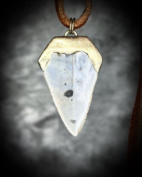 Handcrafted Fossil Shark Tooth Necklace 1.5 Inch Pendant on Brown Leather Cord – Made in USA | Custom Crystal Jewelry Gift Become Spellbound  Fossil
