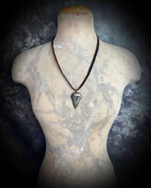 Handcrafted Fossil Shark Tooth Necklace 1.5 Inch Pendant on Brown Leather Cord – Made in USA | Custom Crystal Jewelry Gift Become Spellbound  Fossil