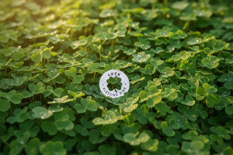 Handcrafted Four Leaf Clover Pocket Charm – Luck Blessing Ring Token | Made in USA Pewter Whitney Howard Designs  Blessing Ring
