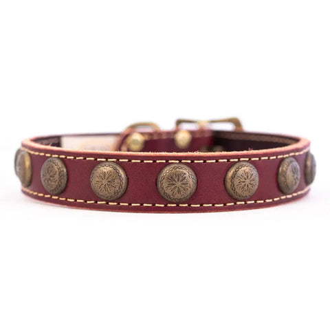 Handcrafted Full Grain Leather Dog Collar With Sunburst Studs – Durable Comfort | Made in USA Auburn Leathercrafters  item
