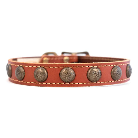 Handcrafted Full Grain Leather Dog Collar With Sunburst Studs – Durable Comfort | Made in USA Auburn Leathercrafters  item