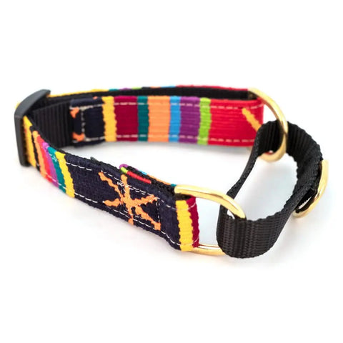 Handcrafted Martingale Dog Collar 1 Inch Wide Adjustable 11-30 Inch – Vibrant Woven Design | Made in USA Auburn Leathercrafters  item