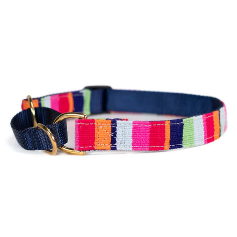 Handcrafted Martingale Dog Collar 1 Inch Wide – Adjustable Beach Pattern | Made in USA Durable Pet Collar Auburn Leathercrafters  item