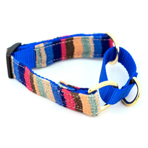 Handcrafted Martingale Dog Collar 1 Inch Wide – Adjustable Beach Pattern | Made in USA Durable Pet Collar Auburn Leathercrafters  item