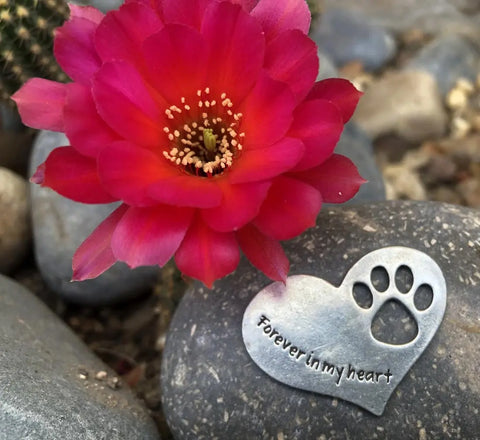 Handcrafted Pet Memorial Stone – Natural River Rock with Pewter Heart Paw Print | Made in USA Comfort Gift Whitney Howard Designs  Pet Memorial Gifts