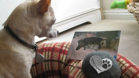 Handcrafted Pet Memorial Stone – Natural River Rock with Pewter Heart Paw Print | Made in USA Comfort Gift Whitney Howard Designs  Pet Memorial Gifts