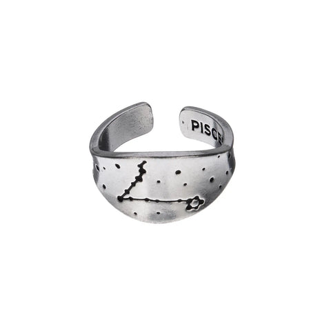 Handcrafted Pisces Zodiac Ring – Recycled Pewter Constellation Band | Made in USA Celestial Jewelry Whitney Howard Designs  Zodiac Rings