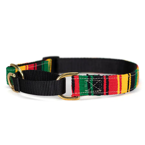 Handcrafted Rasta Martingale Dog Collar 11-30 Inch Adjustable – Durable Nylon & Brass Hardware | Made in USA Auburn Leathercrafters  item