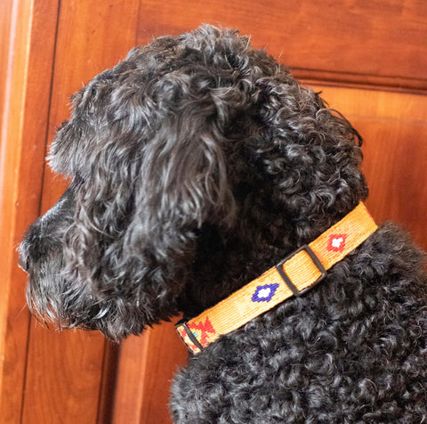 Handcrafted Side-Release Dog Collar 1 Inch – Colorful Hand-Woven Design | Made in USA Durable Nylon Auburn Leathercrafters  item