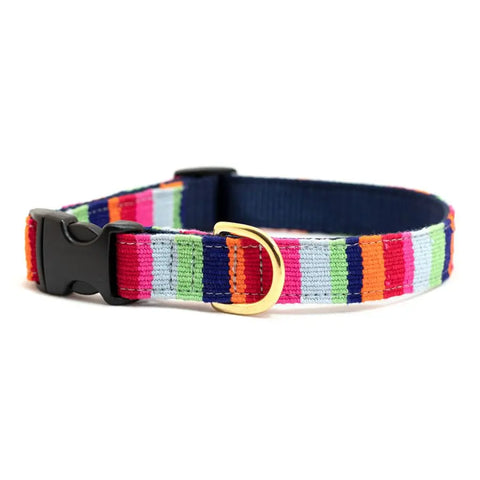 Handcrafted Side-Release Dog Collar – Vibrant Patterned Pet Collar | Made in USA by Auburn Leathercrafters Auburn Leathercrafters  item